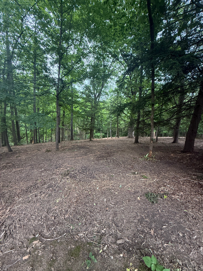 Cleared Ohio property after forestry mulcher work